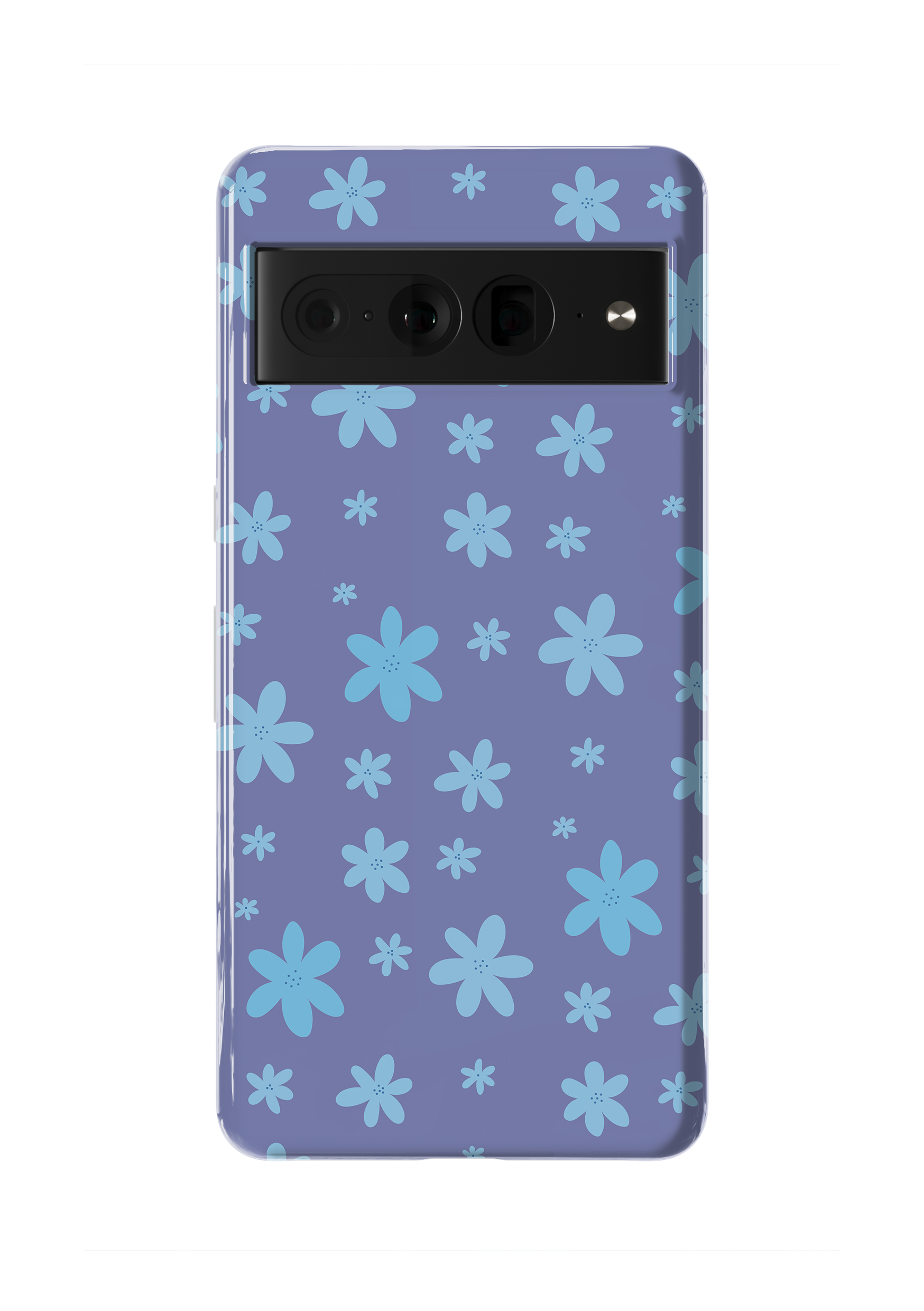 Blue Daisies
