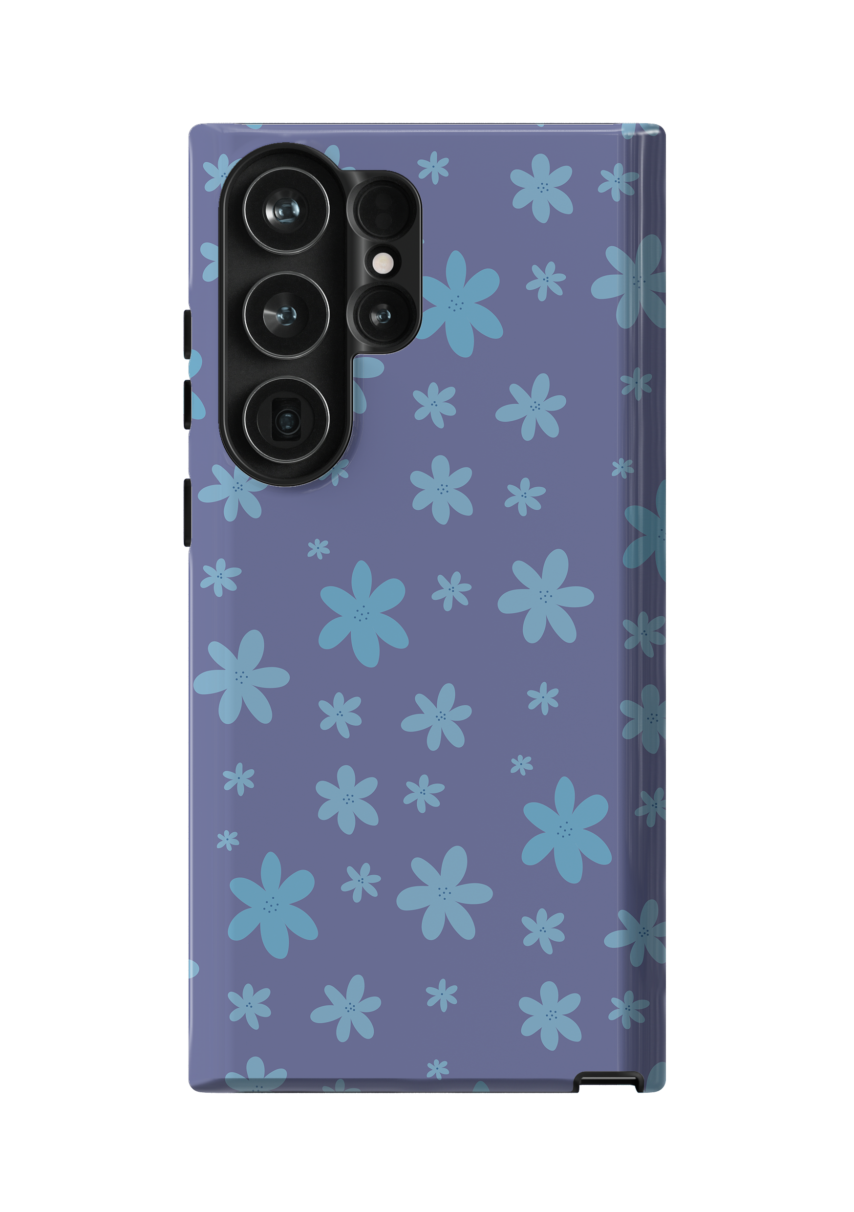 Blue Daisies